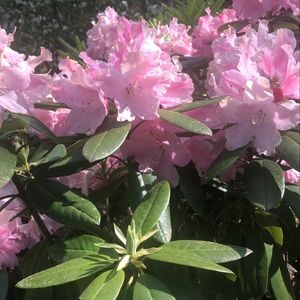 Meet your Posher, Melanee